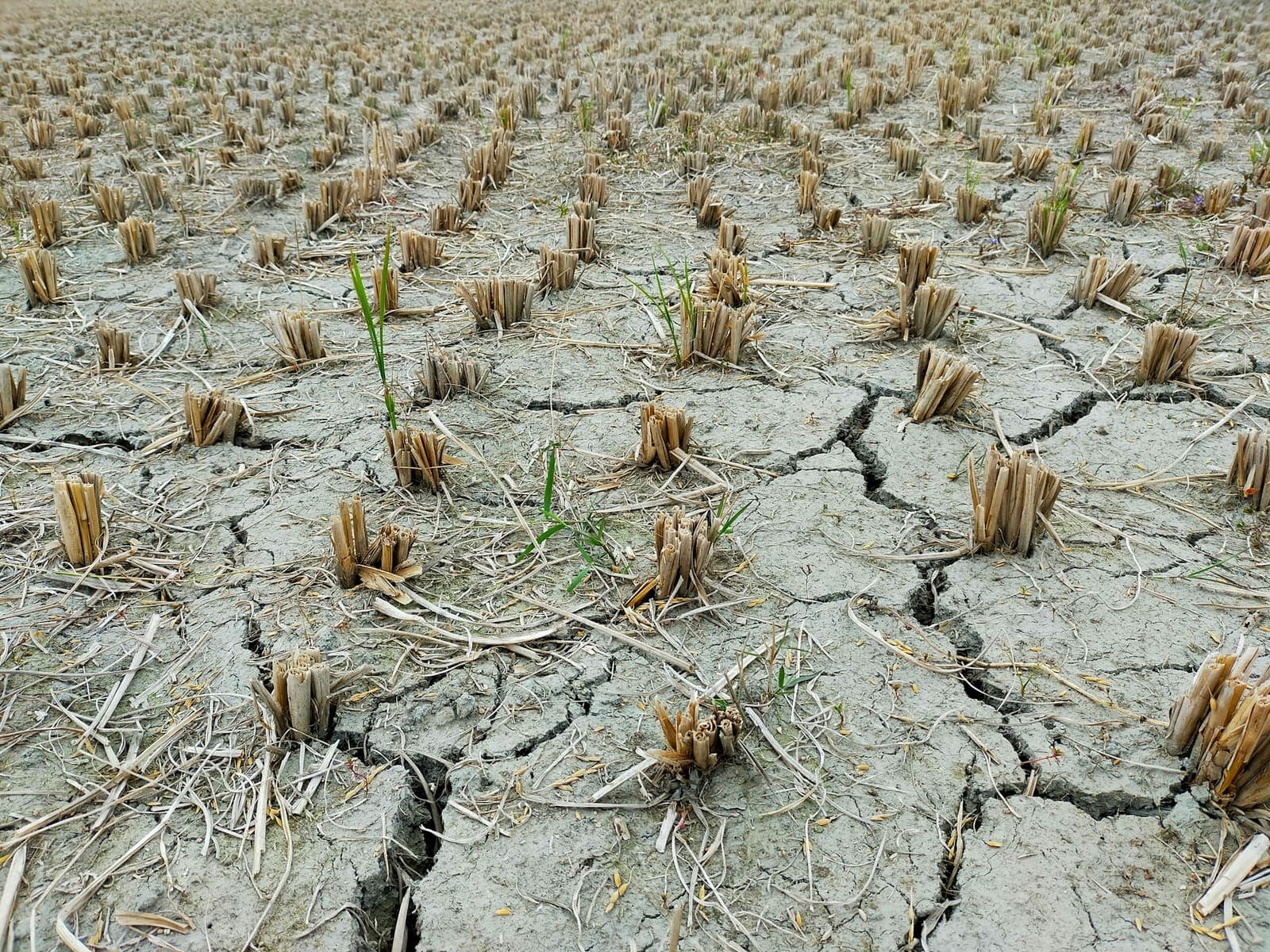 Severance Nine, before the renovation